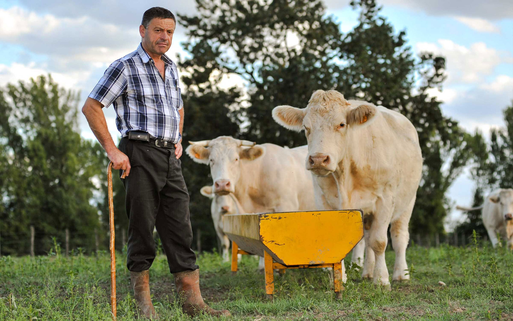 Conseil européen des ministres de l’Agriculture : la nouvelle PAC se dessine en respectant la réalité belge