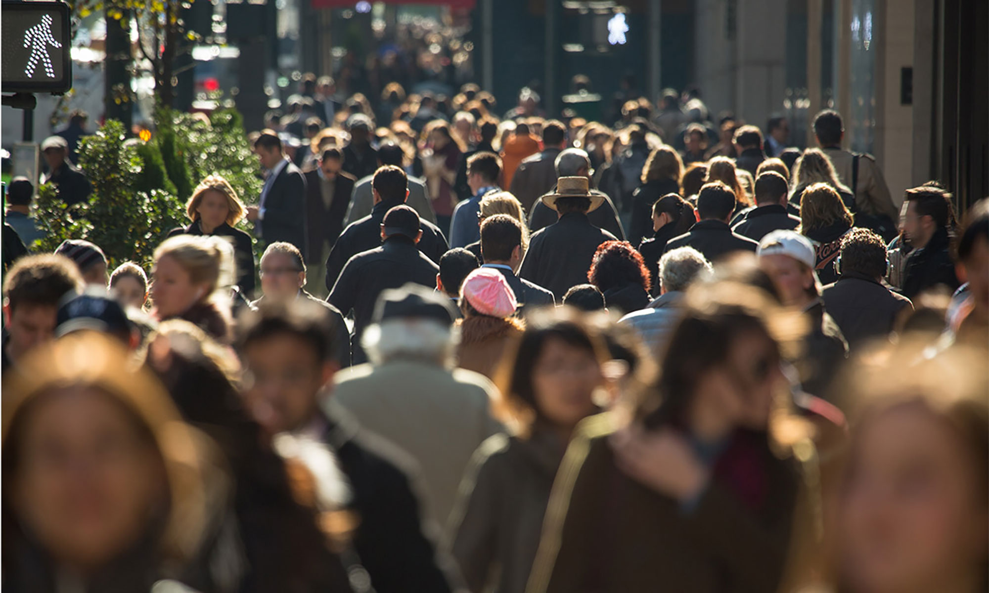 Demander l’asile est la meilleure protection