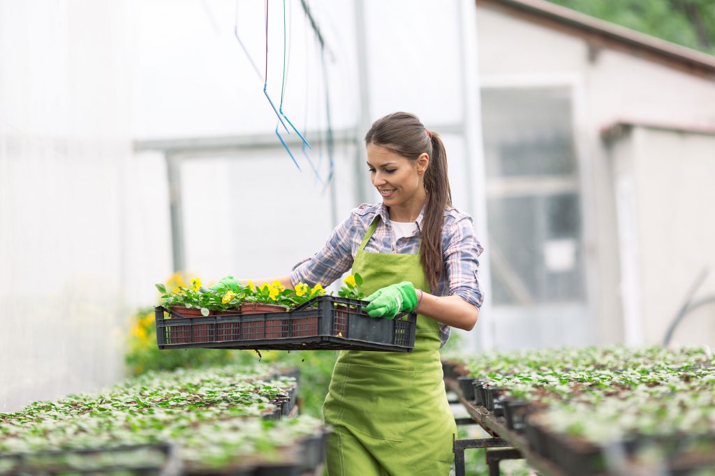 Depuis 2 ans, on compte 18.450 indépendants de plus