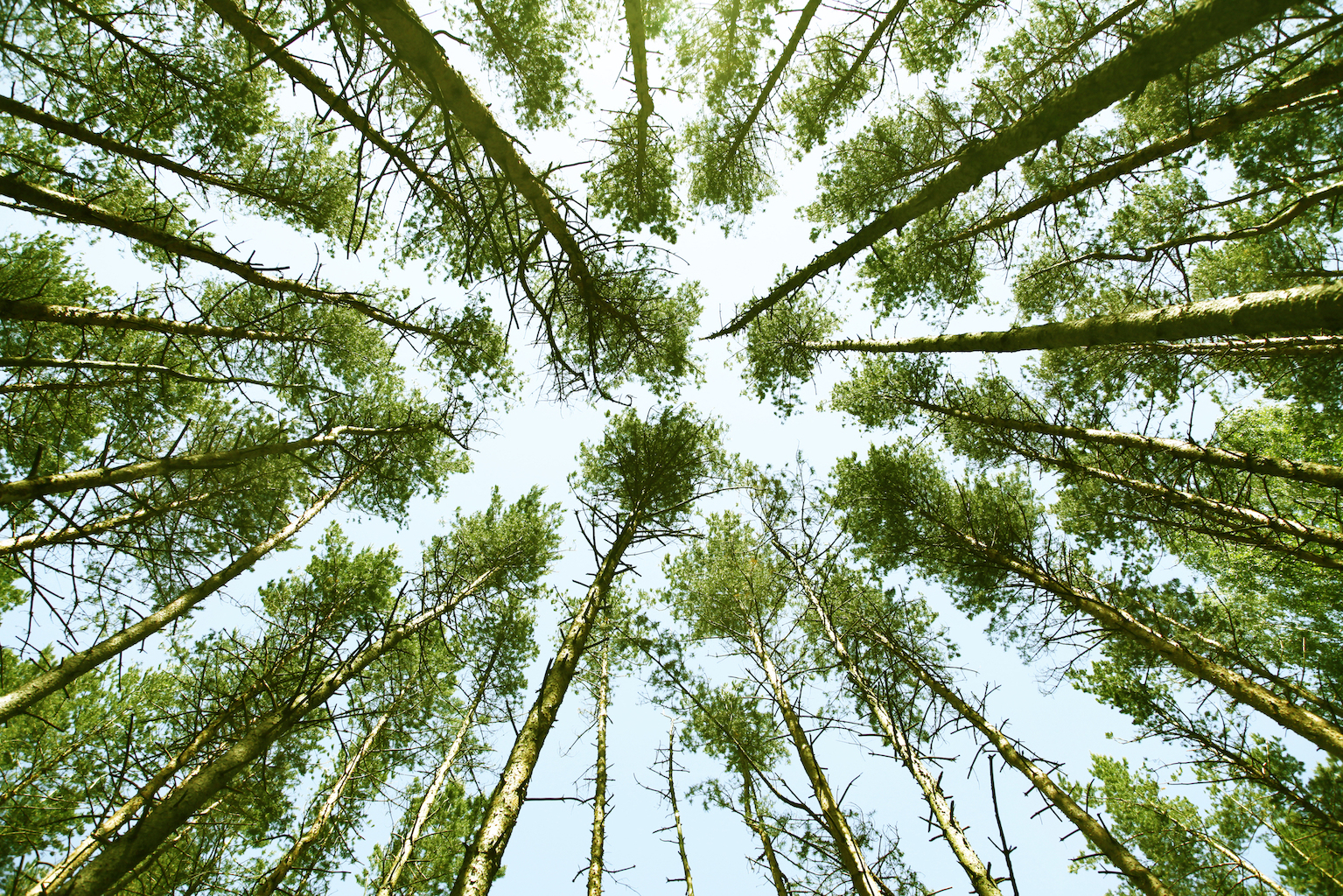 Le MR cosignera la loi Climat et fera part de ses propositions