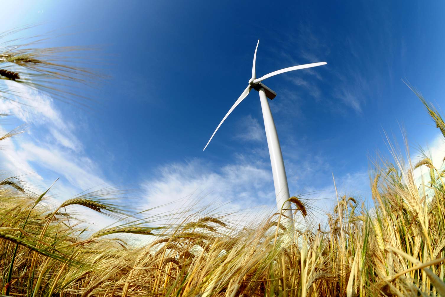 Le Gouvernement de Wallonie encourage les investissements bas carbone et économiseurs d’énergie dans l’industrie