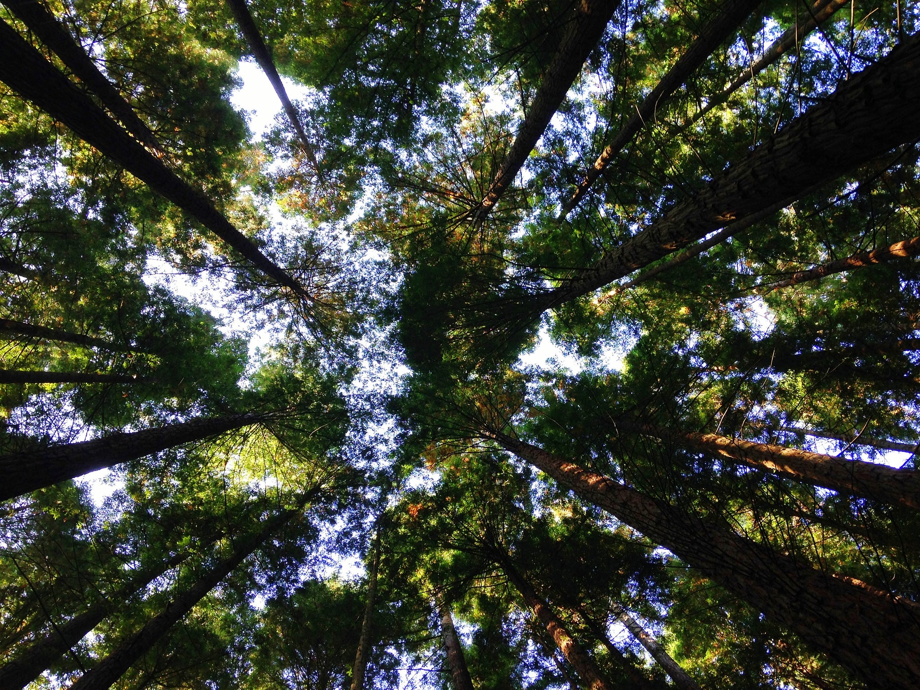 Loi Climat, le MR veut y croire !