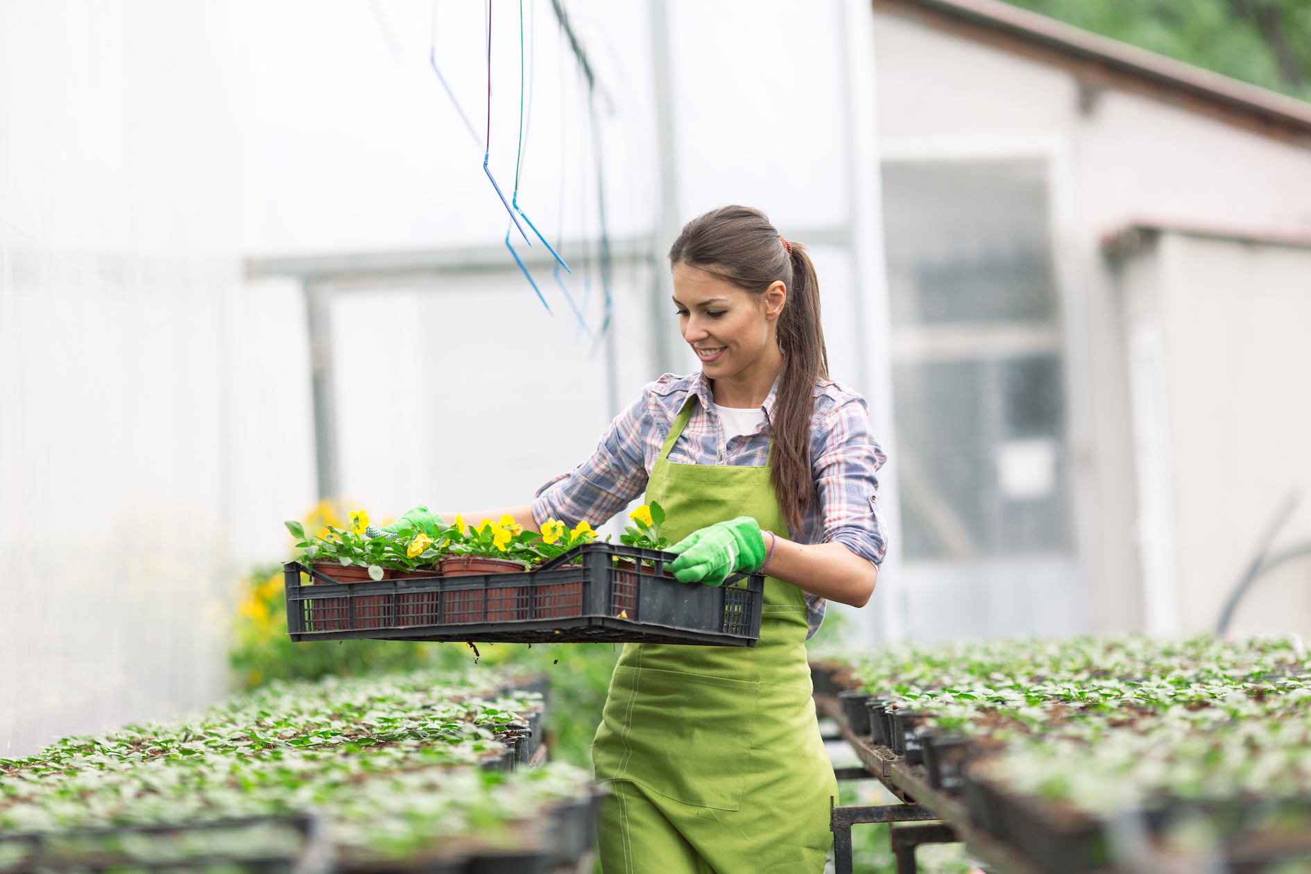 L’entrepreunariat au féminin encouragé !