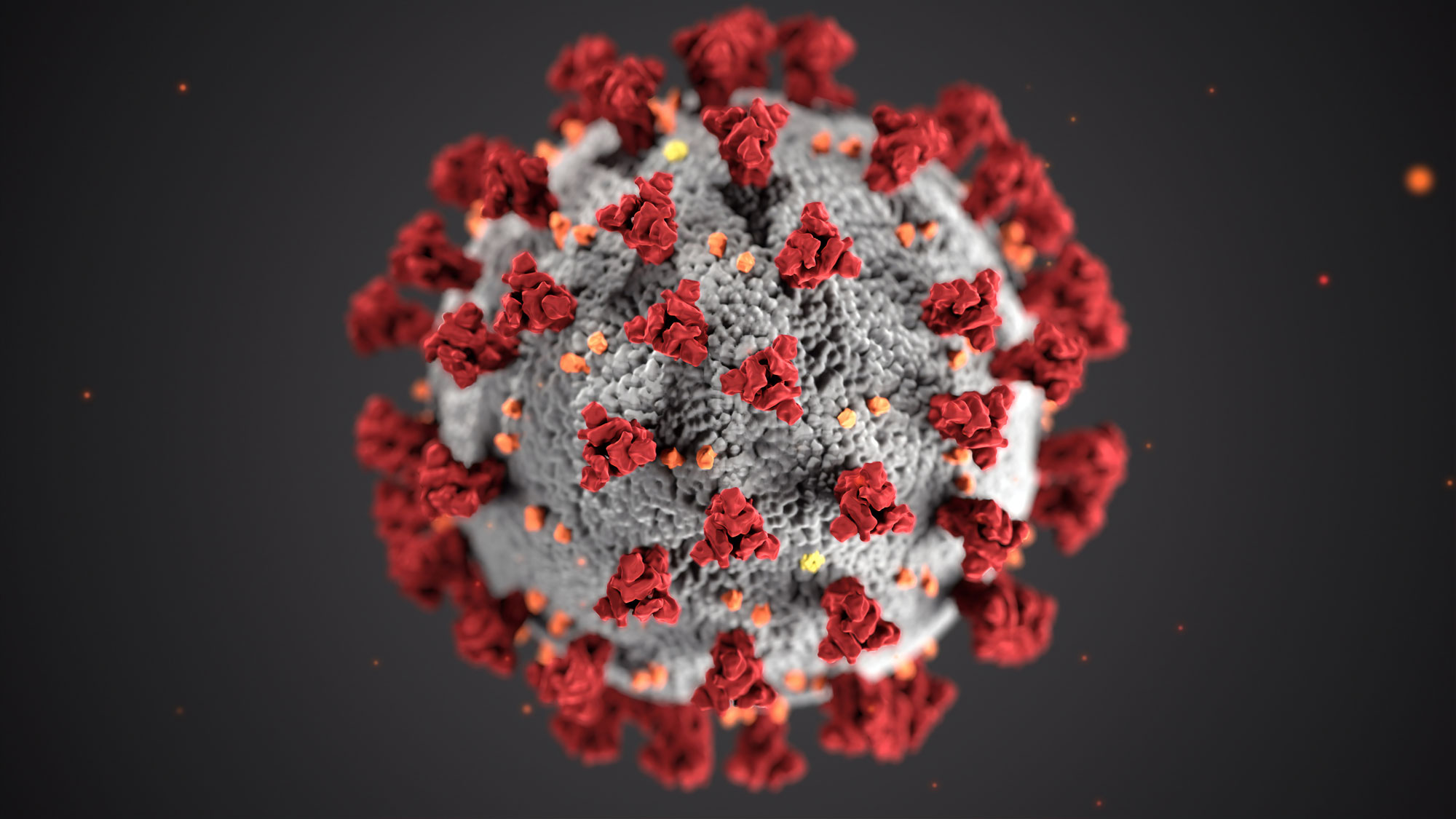 Coronavirus : Mesures supplémentaires prises lors du Conseil National de Sécurité