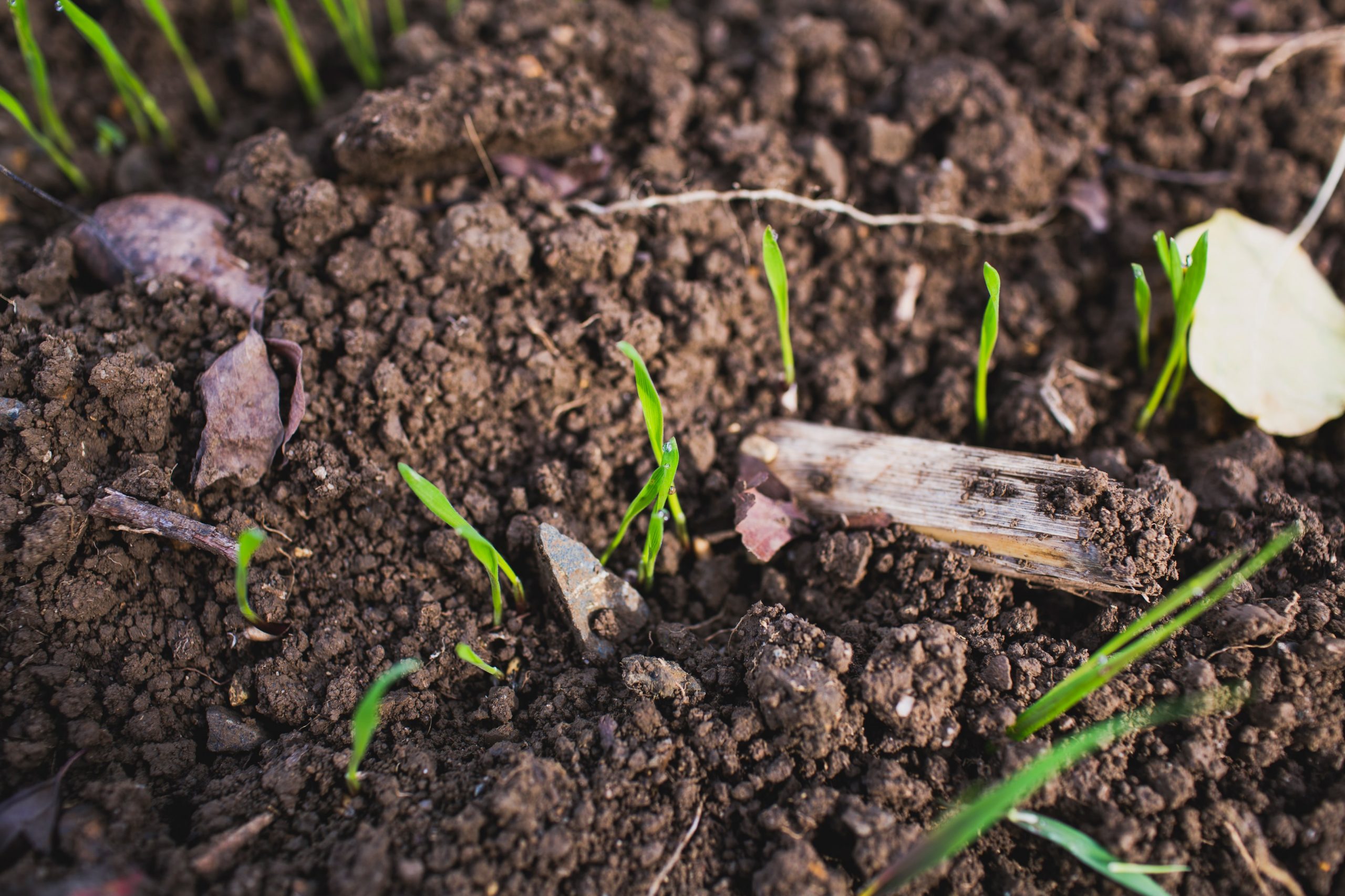 David Clarinval désapprouve le projet de rachat de terres agricoles par la Région bruxelloise