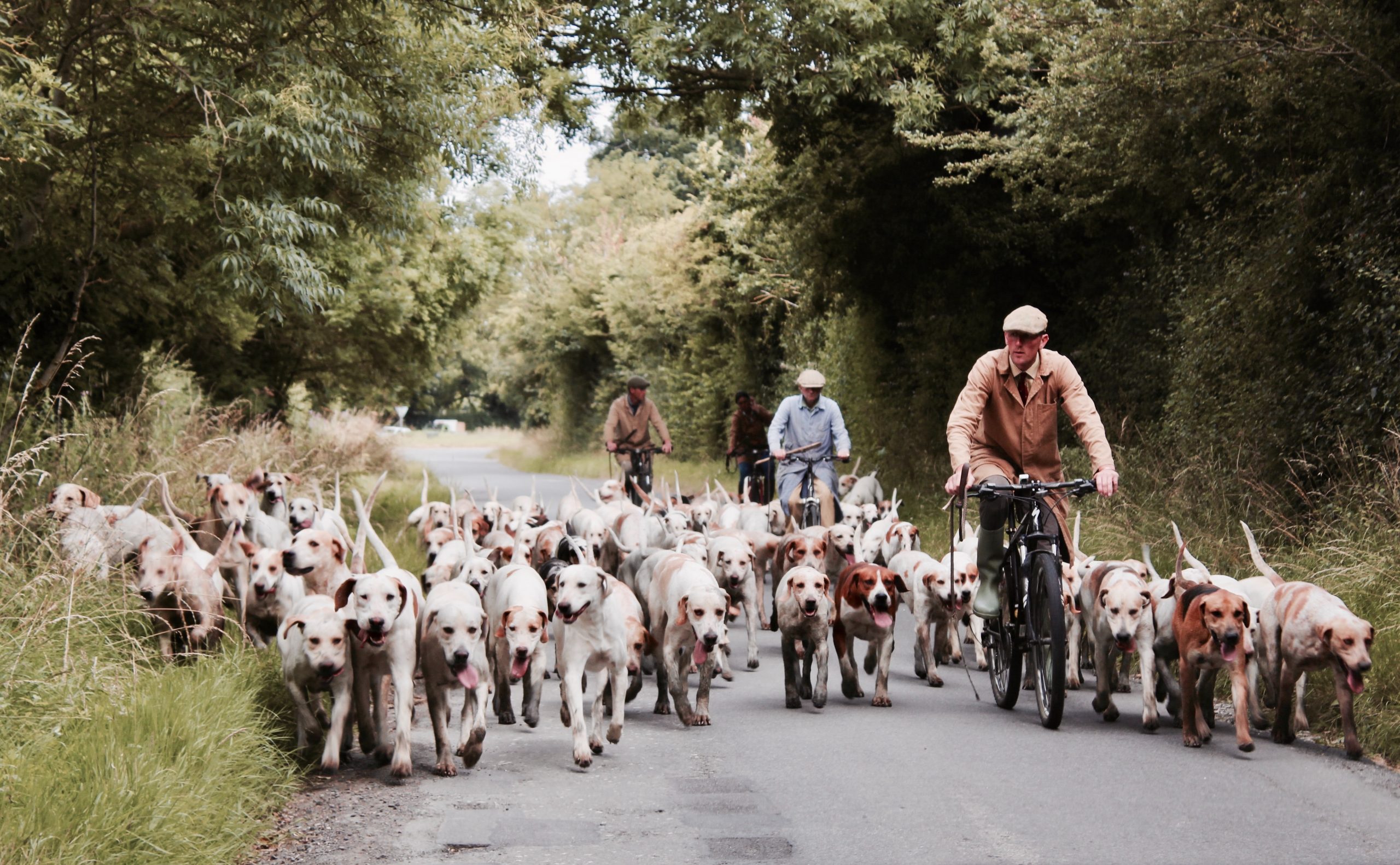 Prolongement exceptionnel de la chasse (cerf, daim, mouflon et sanglier) pour l’année cynégétique 2020-2021