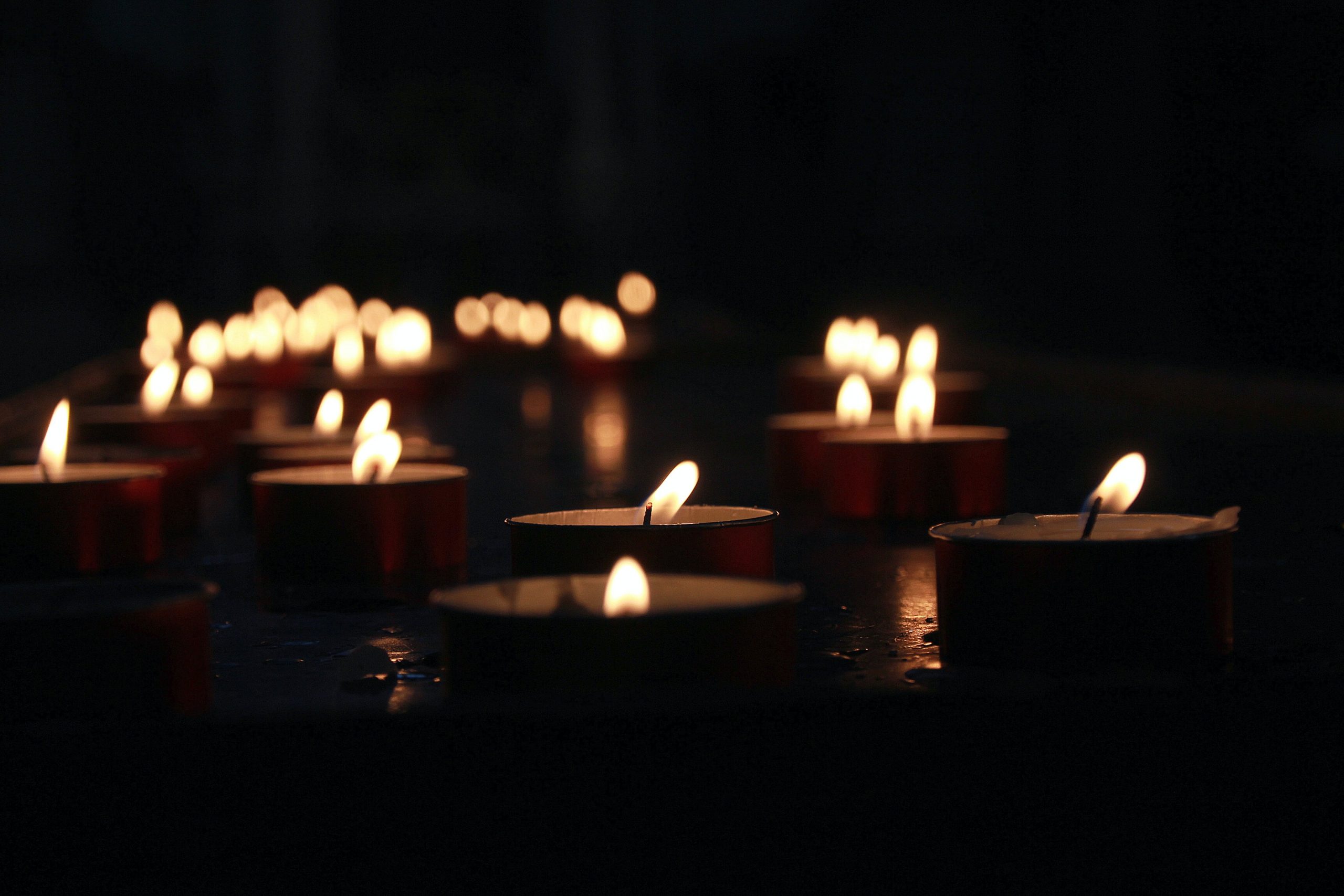 Journée internationale de commémoration en mémoire des victimes de l’Holocauste : se souvenir et continuer à agir