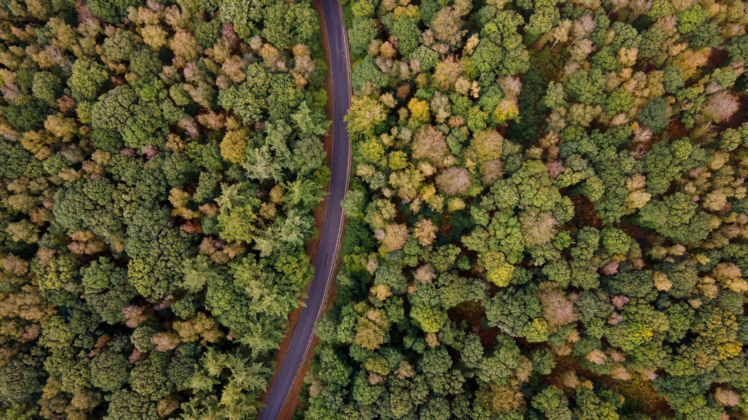 Nouvelle réforme en Wallonie : l’Office Economique du Bois et l’asbl Ressources Naturelles Développement fusionnent