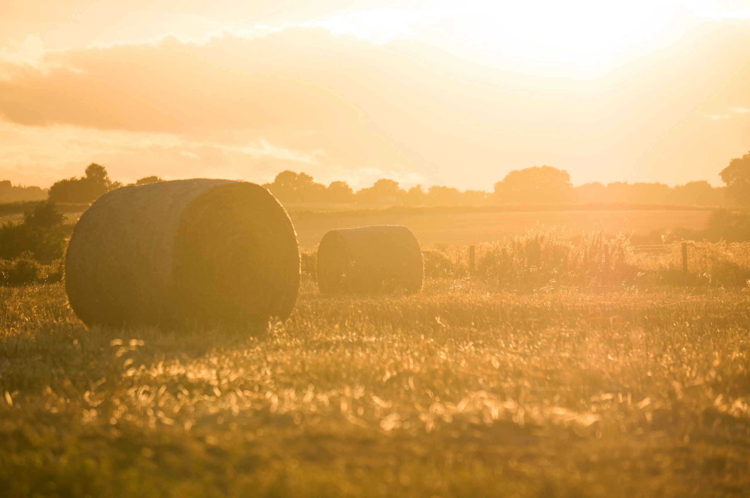 Label « En direct de la ferme », pour permettre l’achat de produits agricoles en vente directe avec des écochèques