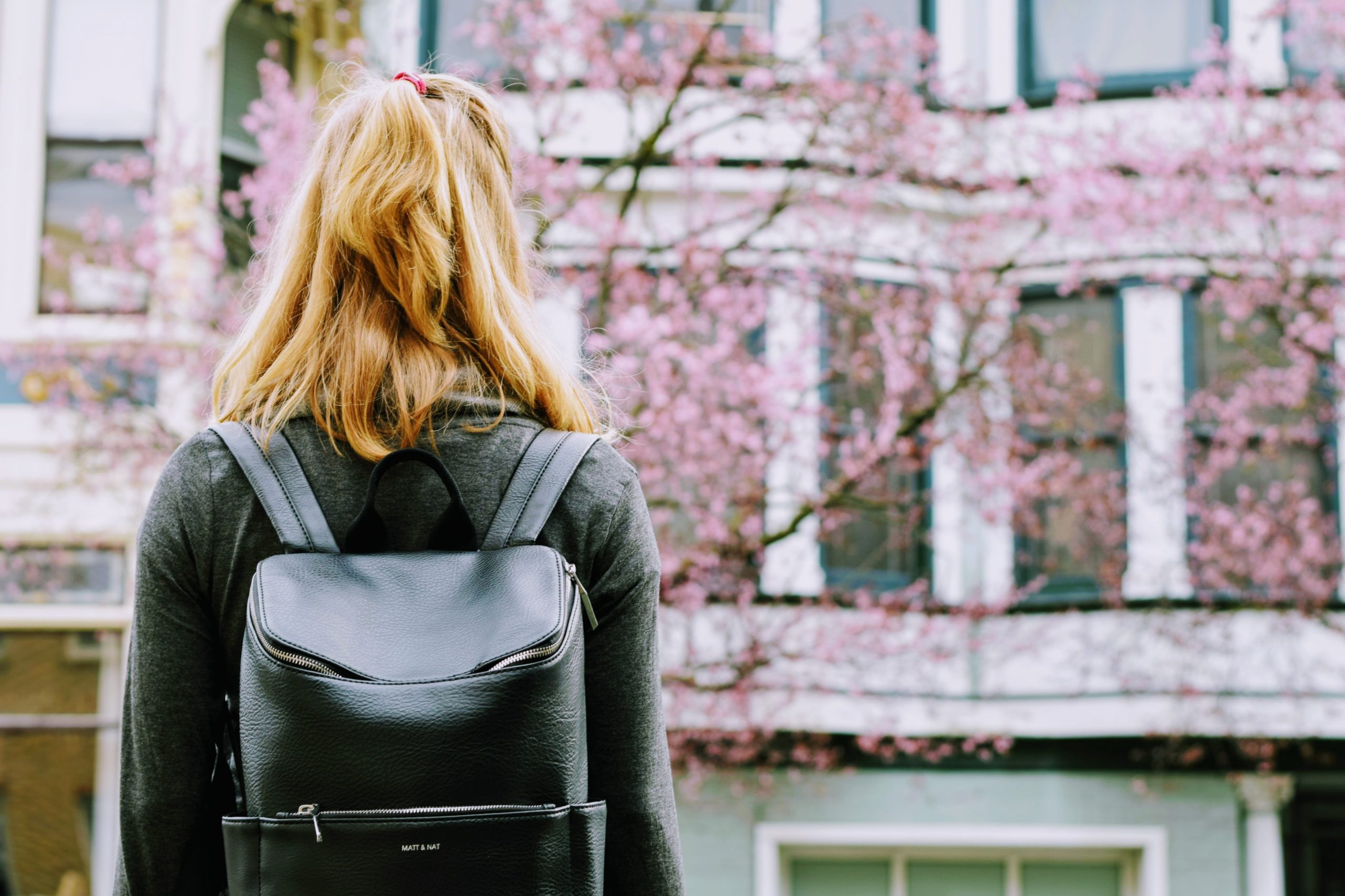 Enseignement supérieur : les mobilités hors-Europe redynamisées par la Fédération Wallonie-Bruxelles