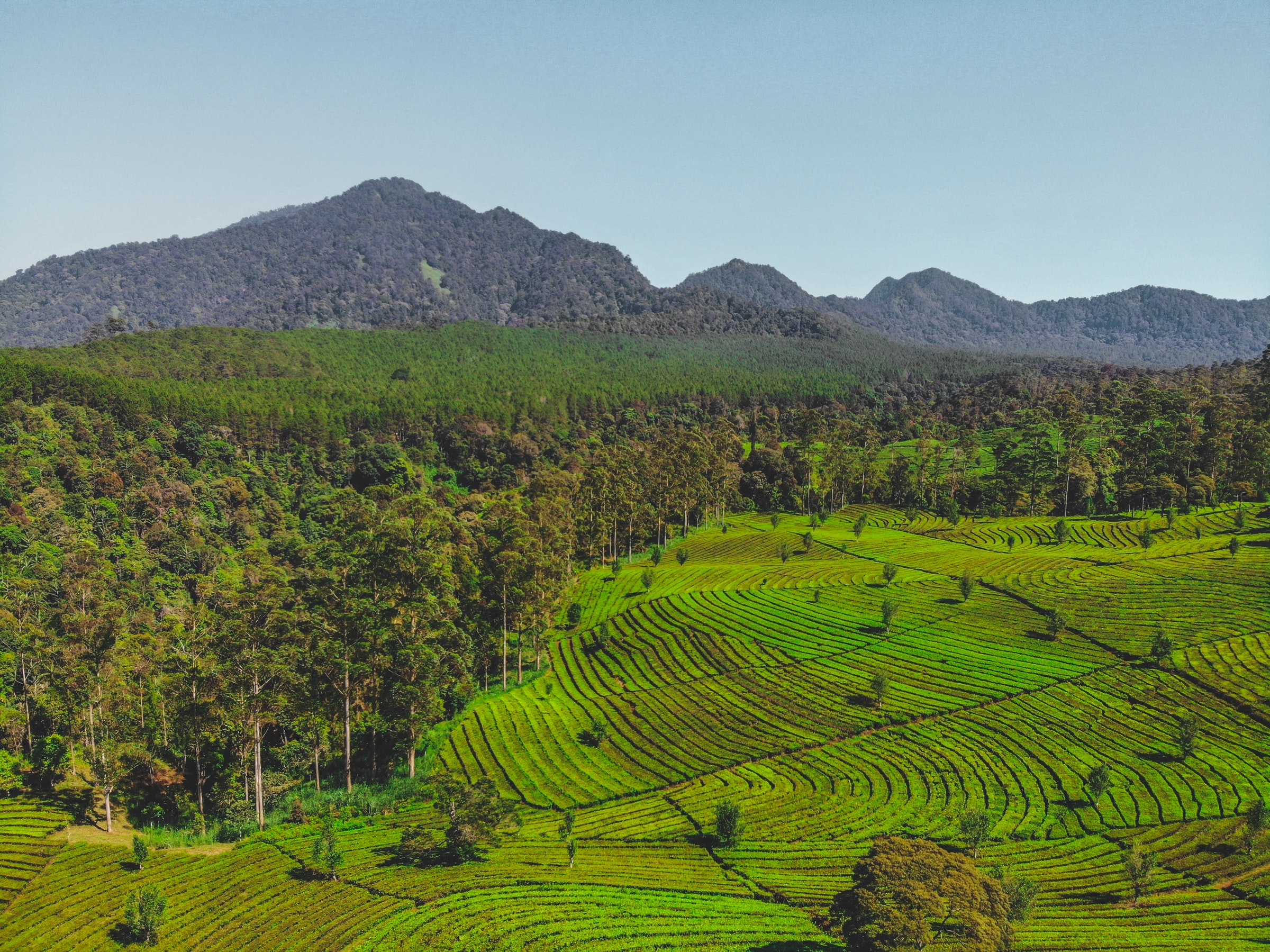 La mission du ministre Clarinval à Jakarta permet de renforcer la coopération bilatérale entre les deux pays