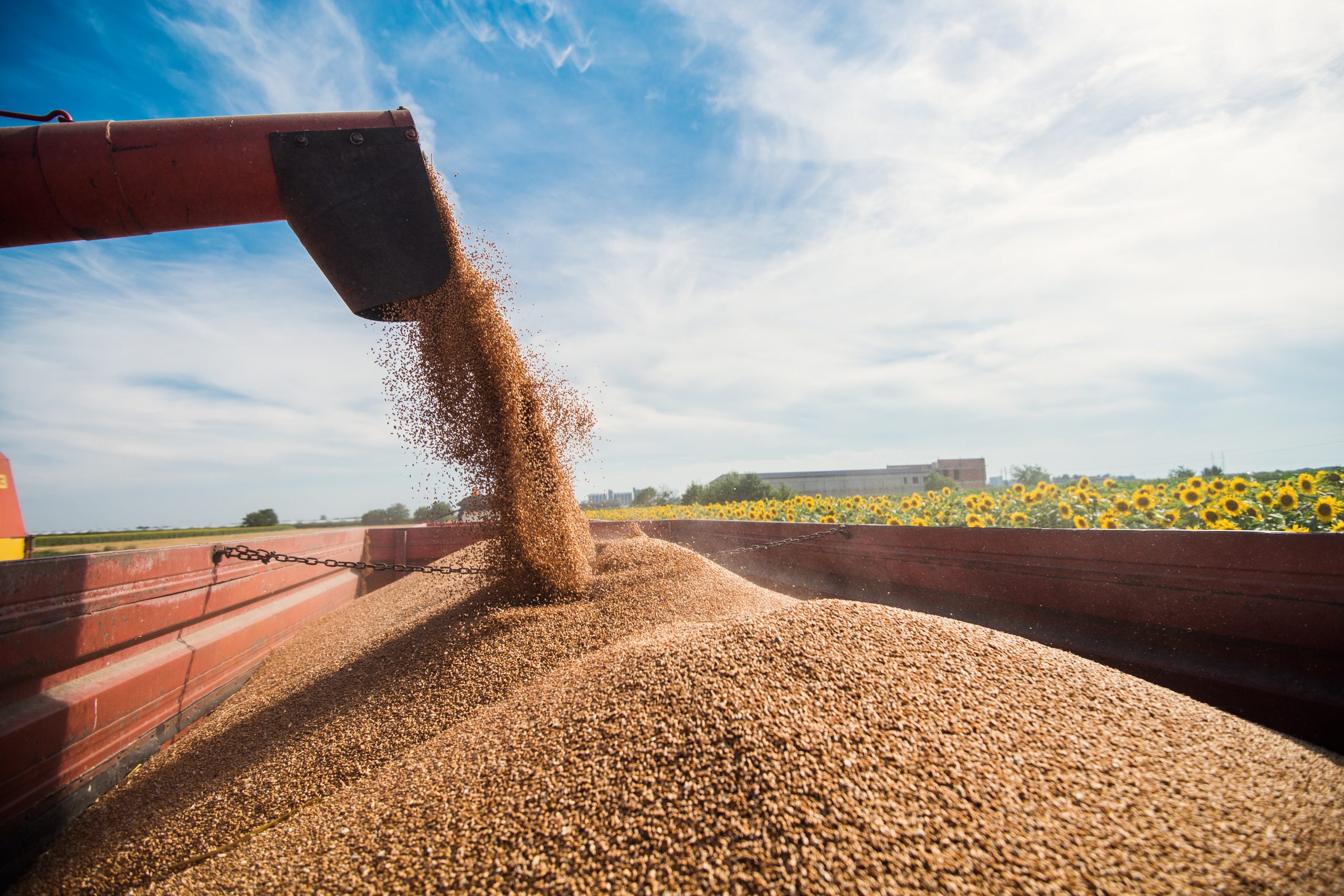 Etat de l’Agriculture Wallonne : les chiffres de 2022 sont sortis