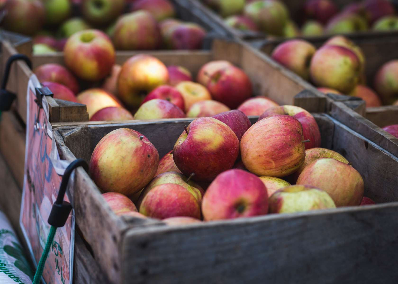 Une aide de 2 millions € pour les producteurs de pommes